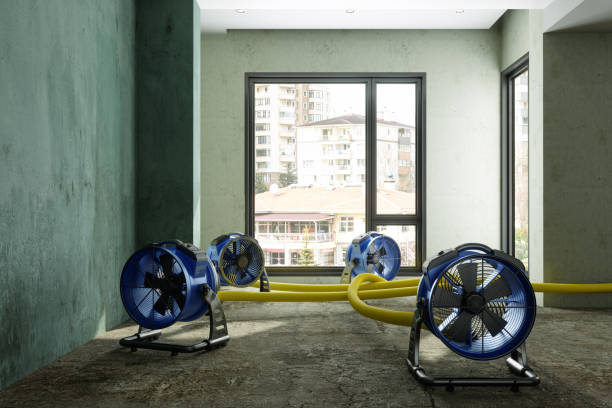 Best Water damage restoration services  in York Harbor, ME