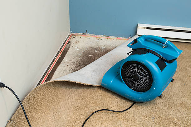 Best Commercial water damage restoration  in York Harbor, ME